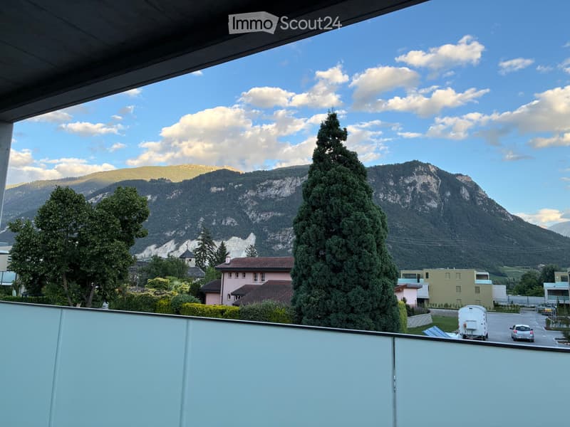 Appartement 2,5 pièces neuf - à louer (4)