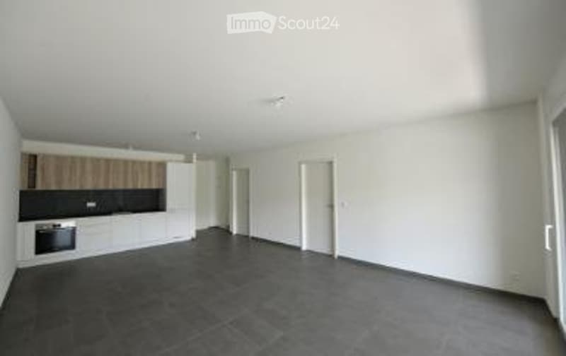 Appartement 2,5 pièces neuf - à louer (3)