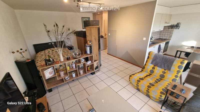 magnifique 1.5 pièces en rdc avec extérieurs (4)