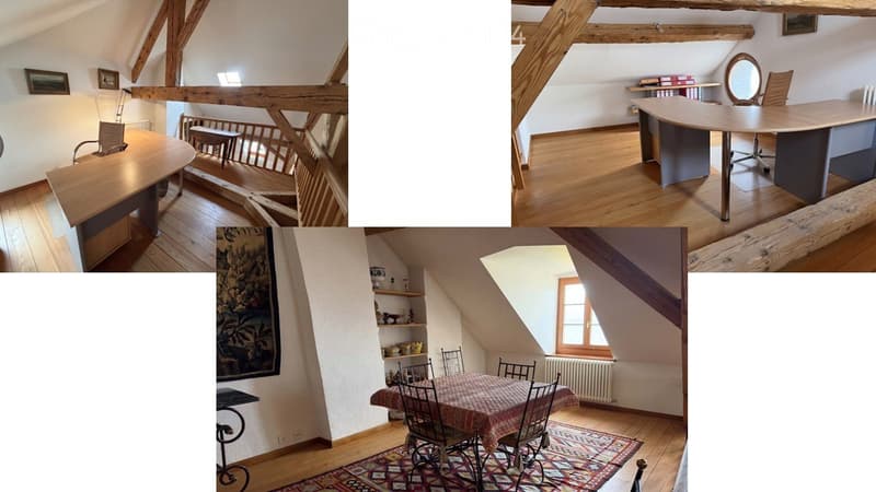 Appartement d'architecte sous combles de 3.5 pièces à Nyon (5)