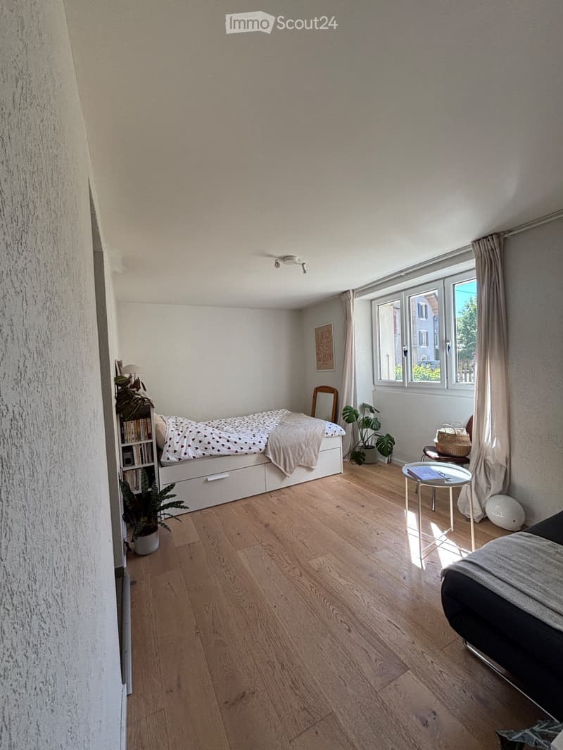 Appartement lumineux entièrement rénové à louer (2)