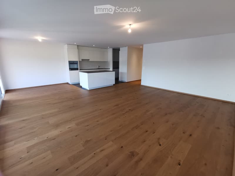 Magnifique appartement 3.5 pièces de 100m2 (3)