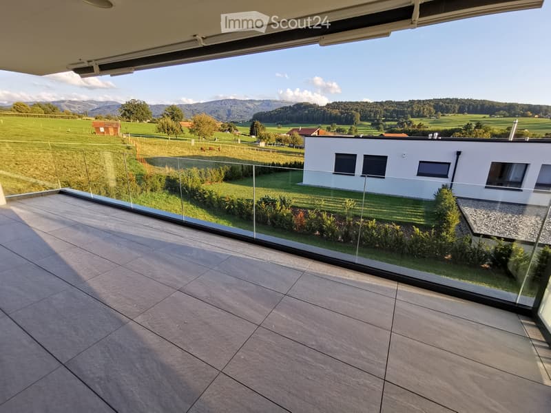 Magnifique appartement 3.5 pièces de 100m2 (2)