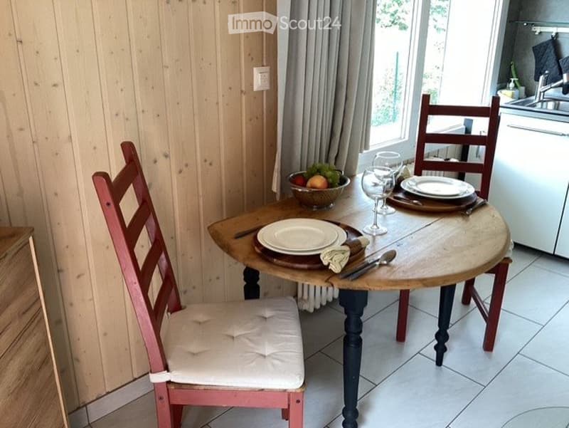 Charmant petit appartement A LOUER libre IMMEDIATEMENT (1)