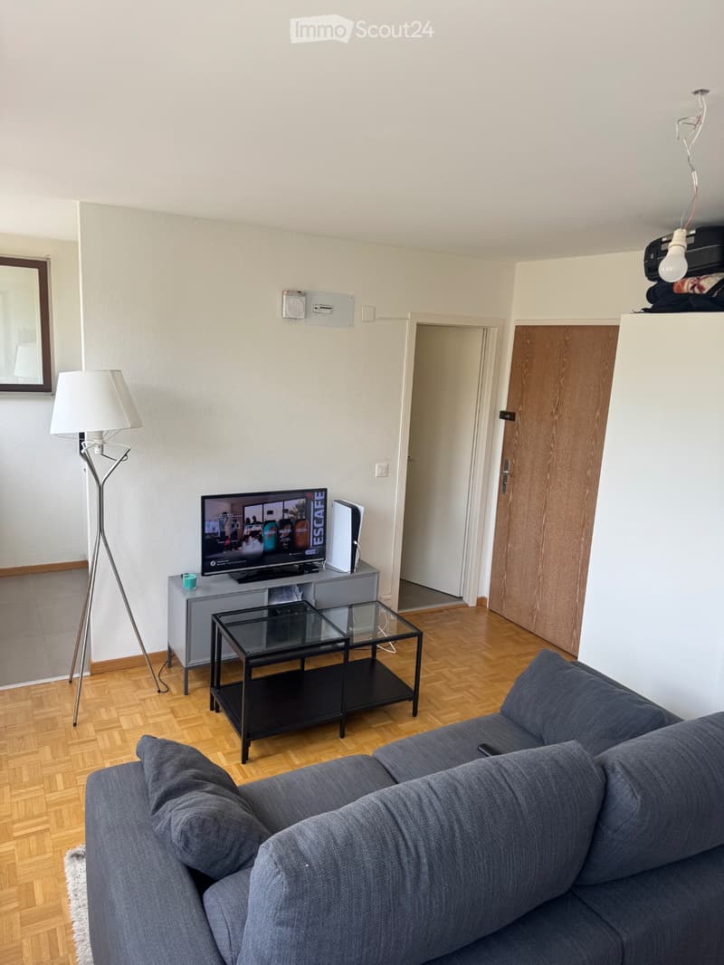 Studio vevey (5)