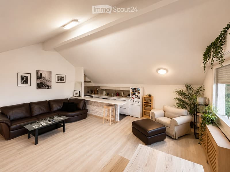 Charmant appartement meublé en attique à Coppet (1)