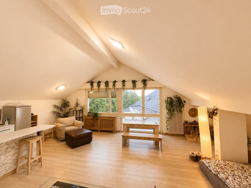Charmant appartement meublé en attique à Coppet (4)