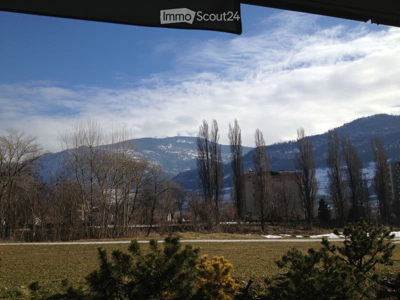 Location 2,5 pièces Sion bord du Rhône (4)