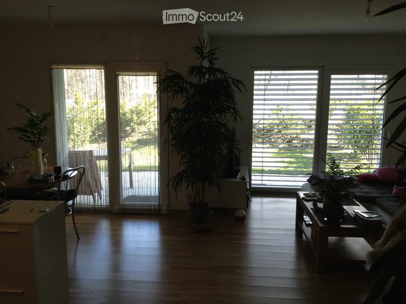 Location 2,5 pièces Sion bord du Rhône (3)