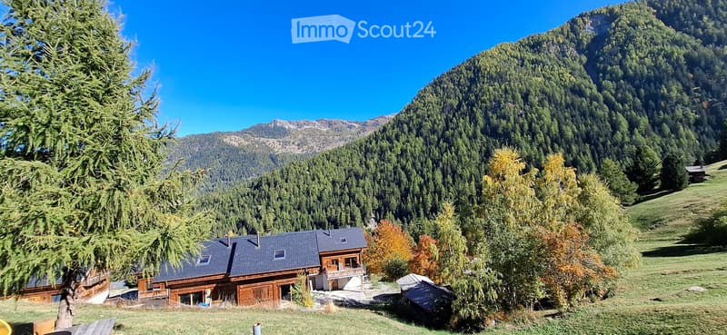 La Tzoumaz - A louer à la saison appartement dans chalet (5)