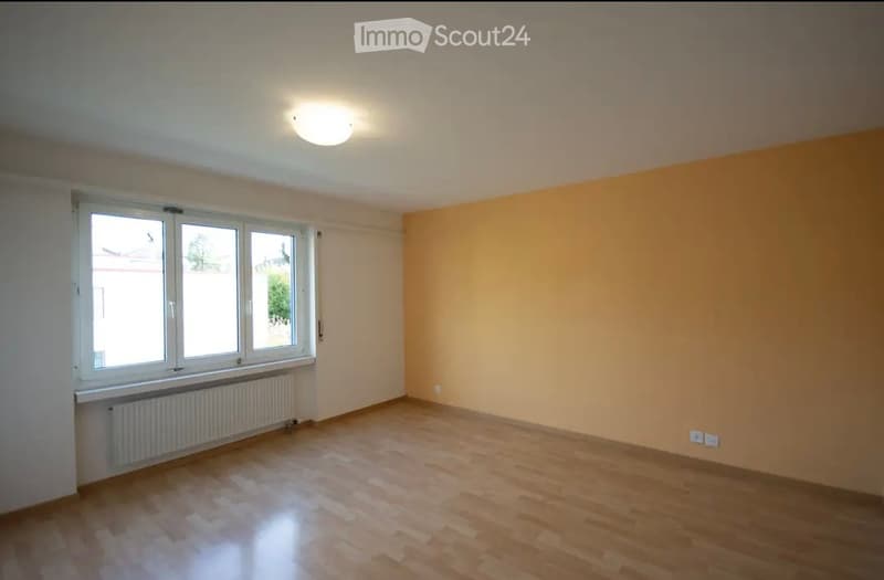 3.5 Zimmer Wohnung (2)