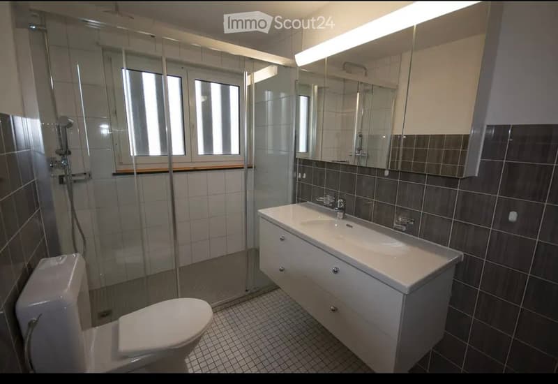 3.5 Zimmer Wohnung (1)