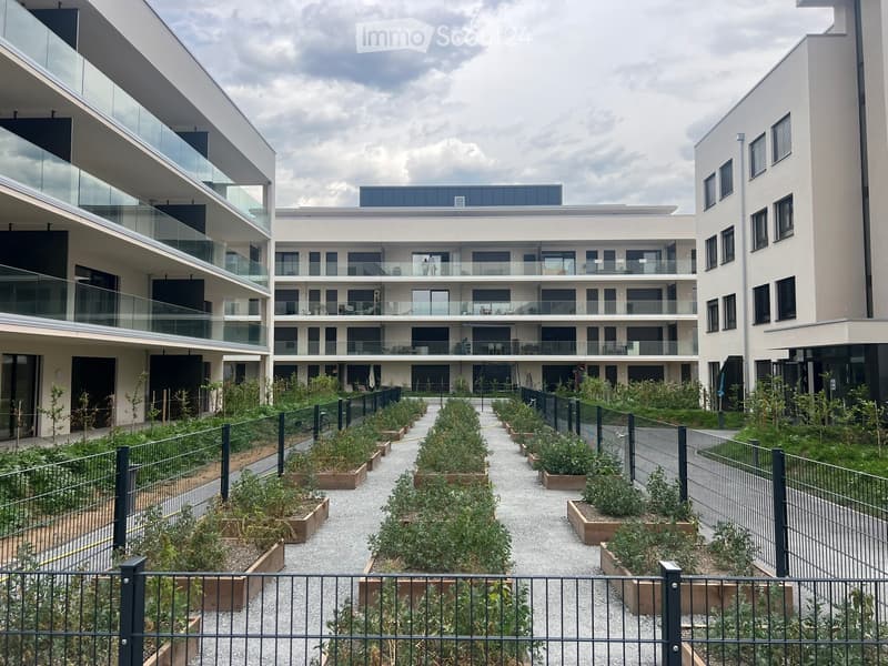 Appartement 2.5 pièces à Sion (Champsec) (5)
