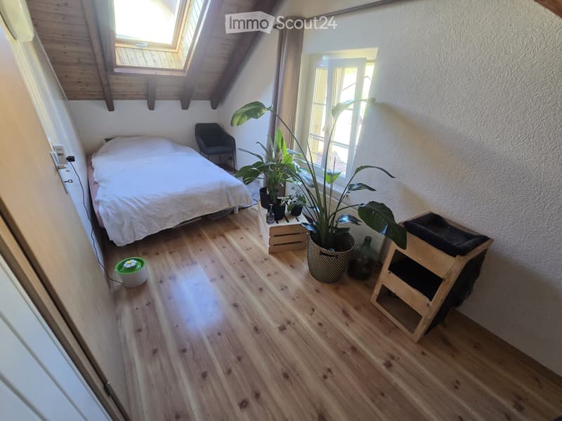 Magnifique appartement 3,5 p plein de cachet à louer (5)