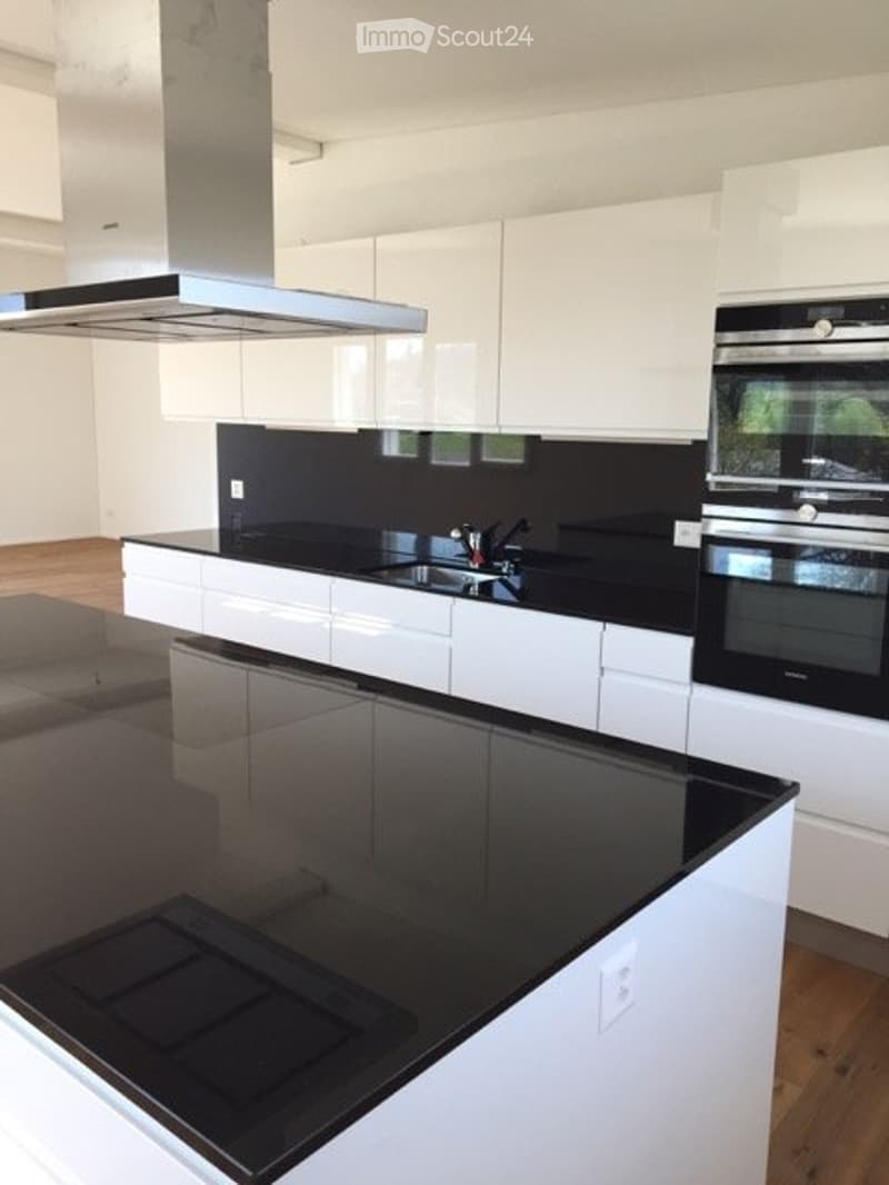4.5-Zi-Attikawohnung mit Garten und Terrasse / 078 719 49 85 (5)