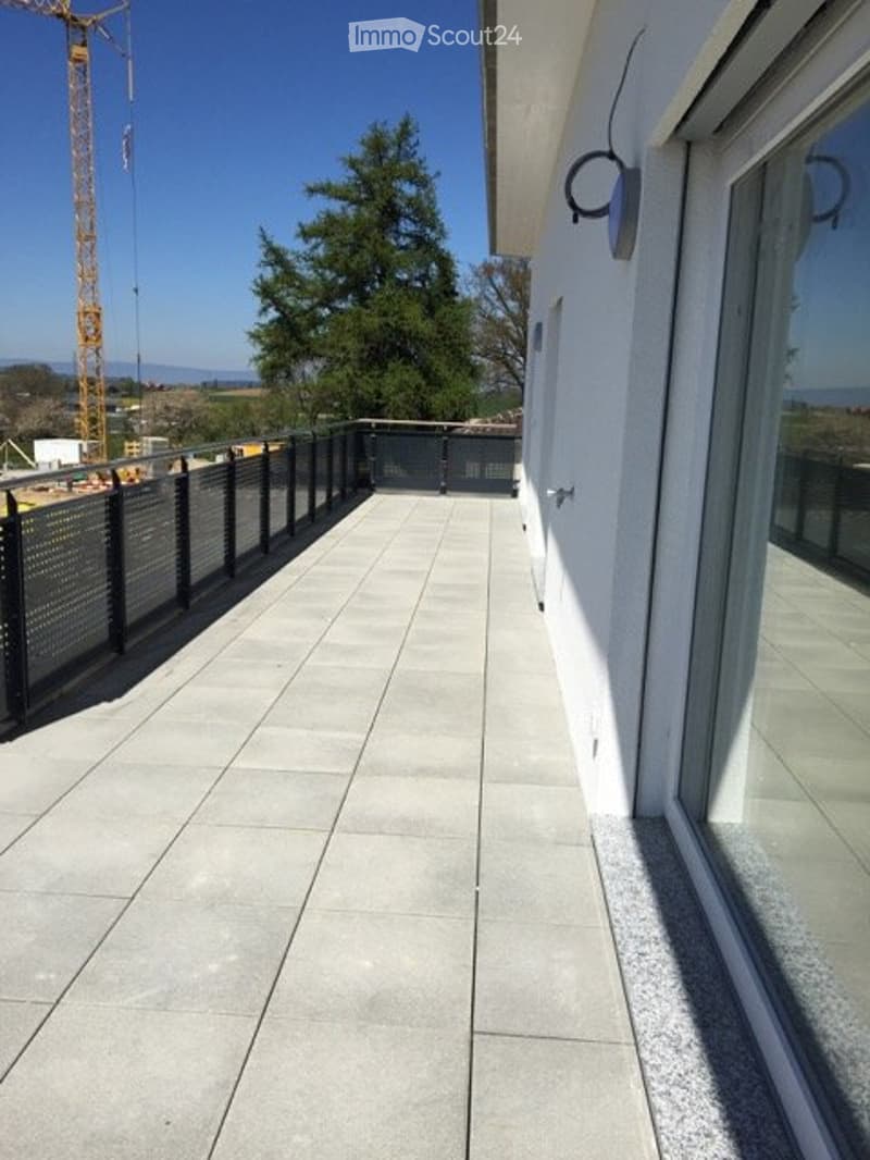 4.5-Zi-Attikawohnung mit Garten und Terrasse / 078 719 49 85 (4)