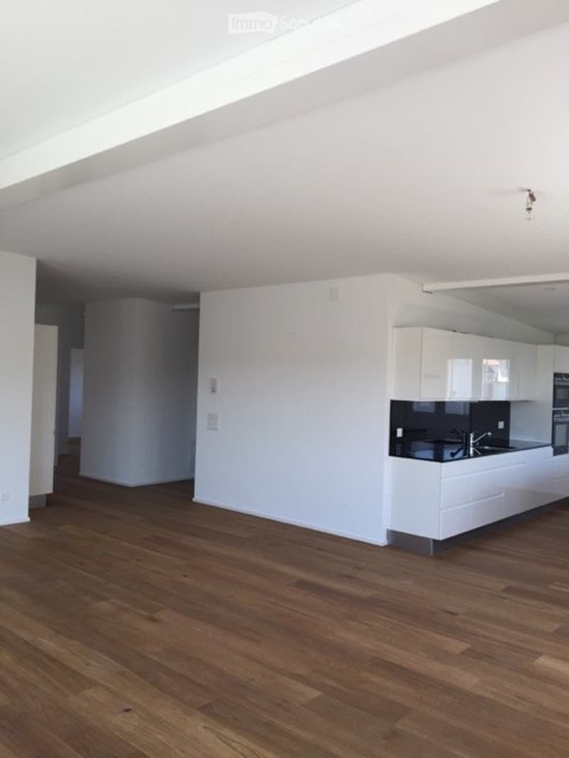 4.5-Zi-Attikawohnung mit Garten und Terrasse / 078 719 49 85 (3)