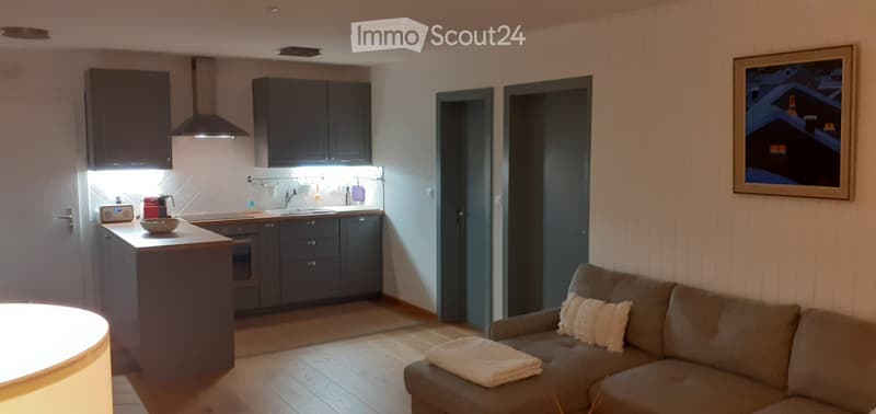 Magnifique appartement de 2.5 pièces (location à l'année). (4)