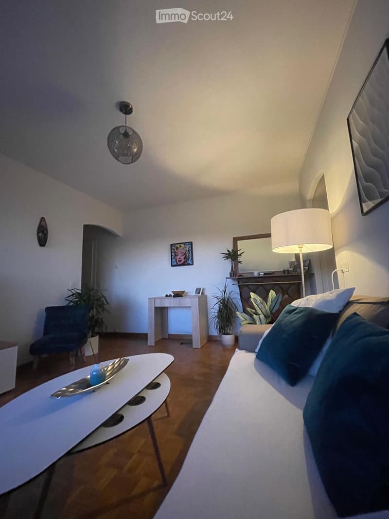 Appartement 2.5 pièces avec vu imprenable sur le lac (3)