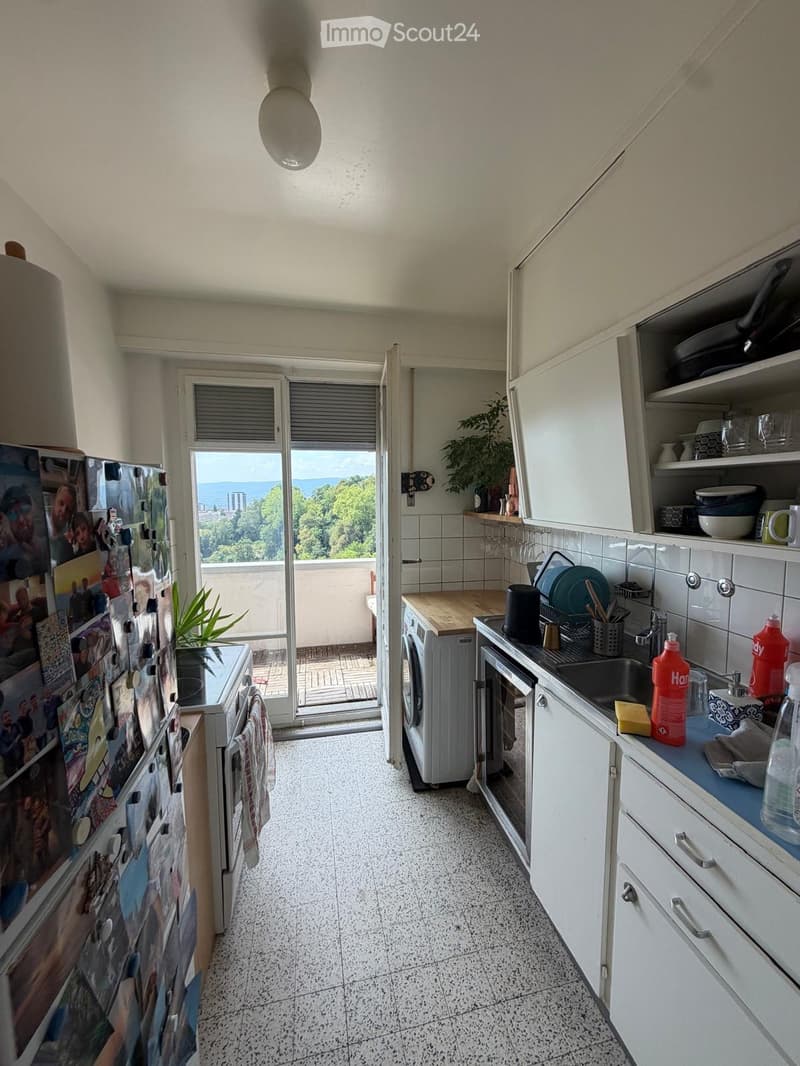 Appartement 2.5 pièces avec vu imprenable sur le lac (4)