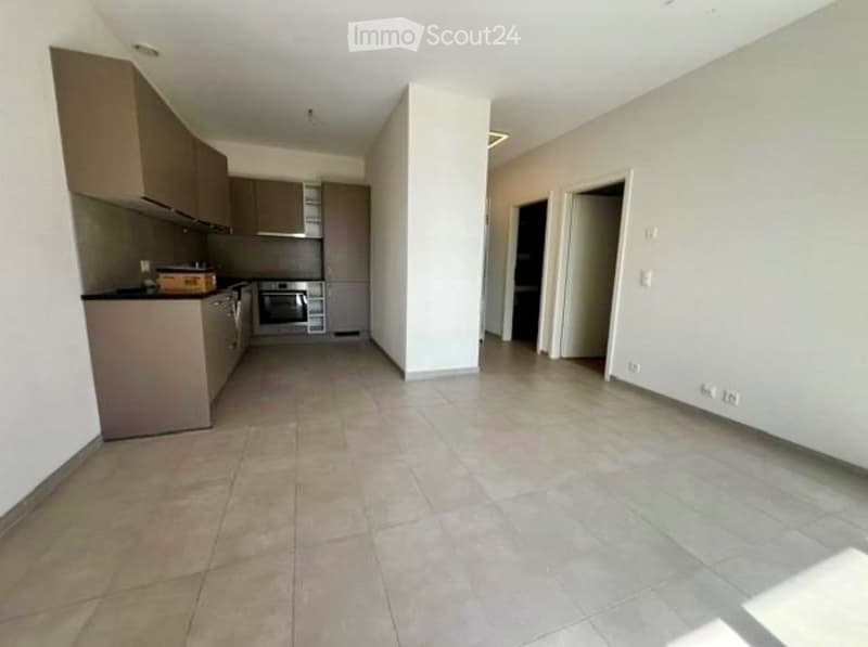 Bel appartement 2.5pcd Rez de chaussée avec grande terrasse (4)
