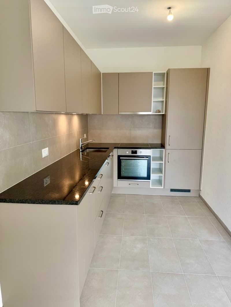Bel appartement 2.5pcd Rez de chaussée avec grande terrasse (1)