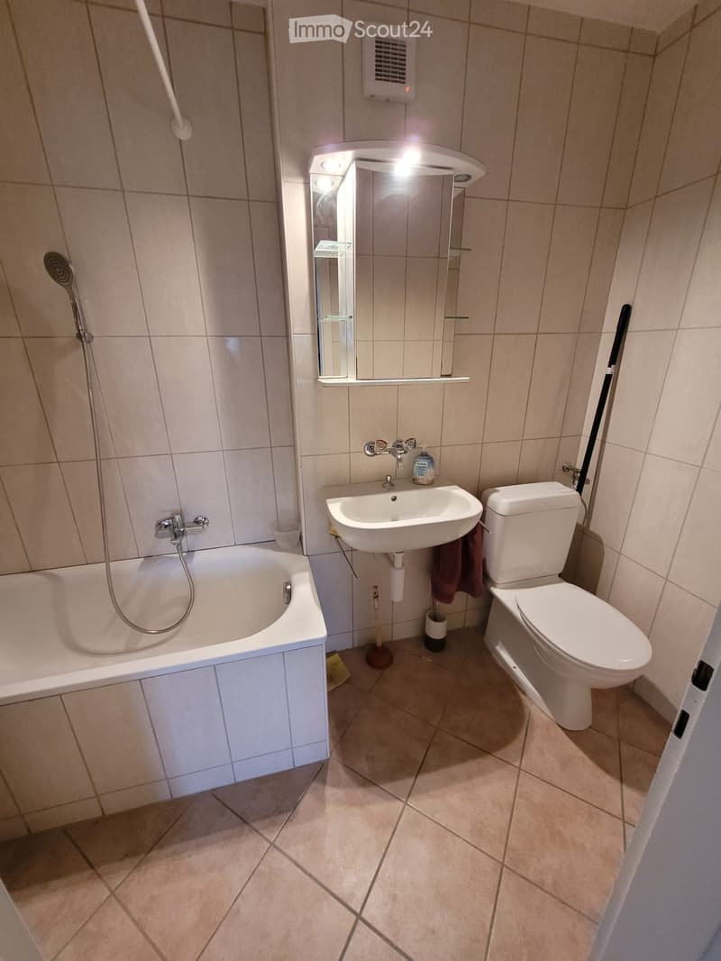 Coffrane, APPARTEMENT 3,5 pièces, lumineux (4)
