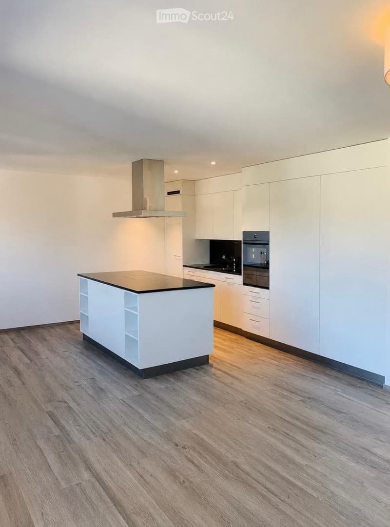 Moderne 3.5-Zimmer-Attikawohnung in Winterthur-Wülflingen (5)
