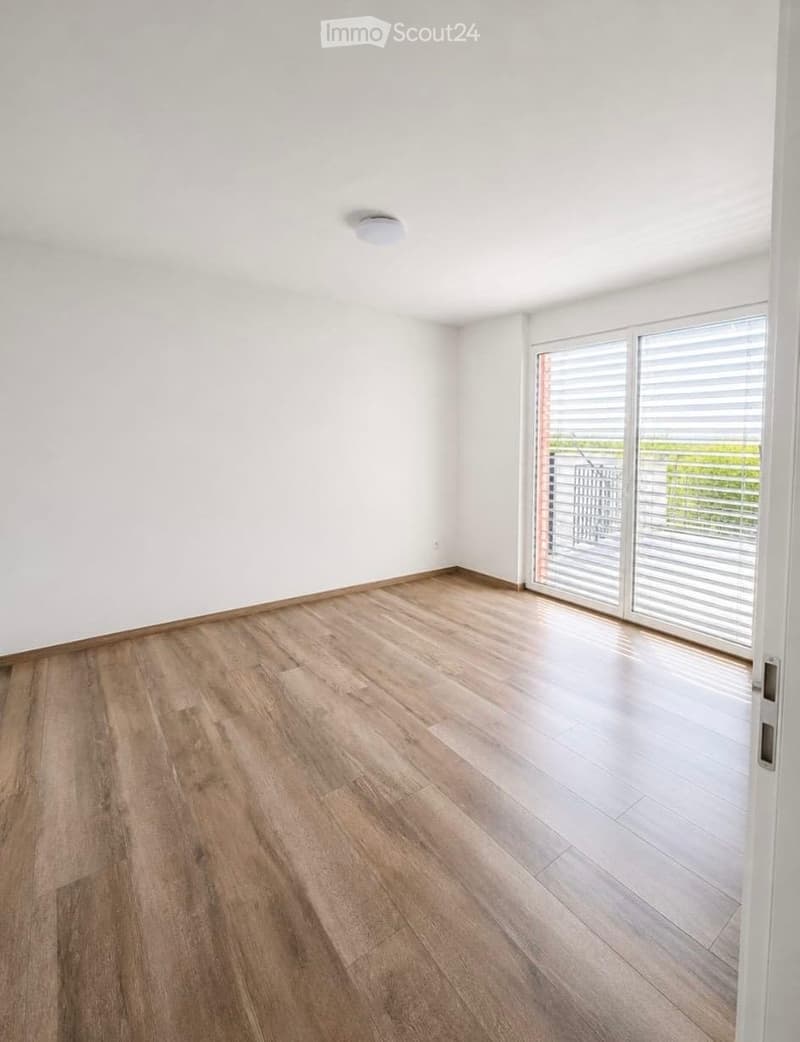 Moderne 3.5-Zimmer-Attikawohnung in Winterthur-Wülflingen (2)