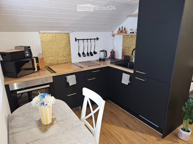 loft moderne atypique toutes charges comprises! (4)