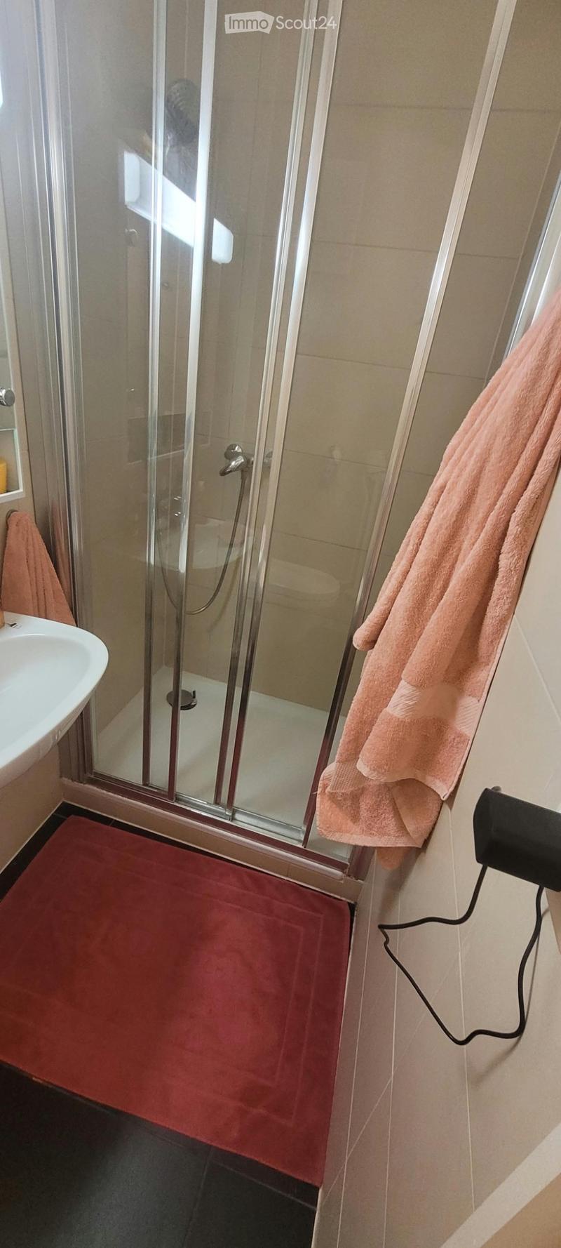 Appartement de 32 m2 à la Jonction à louer (4)
