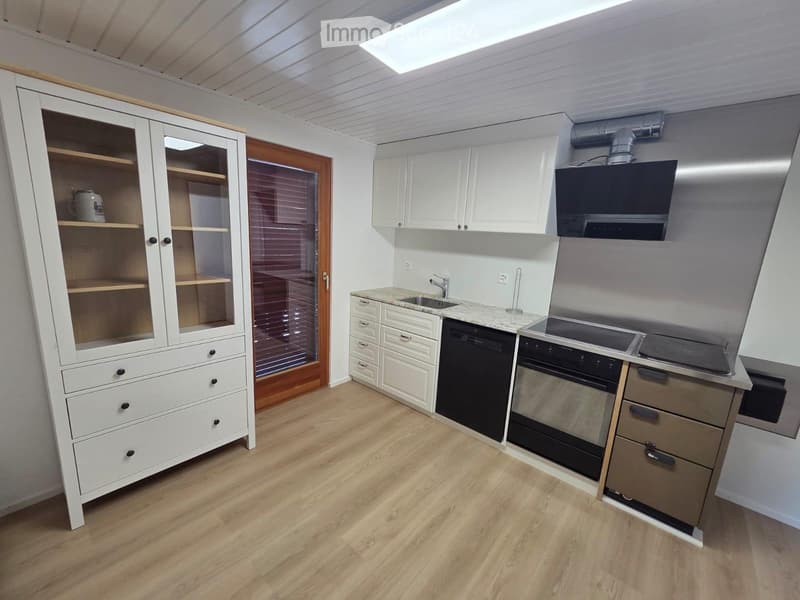 Einfamilienhaus - Erstvermietung nach kompletter Renovation (3)