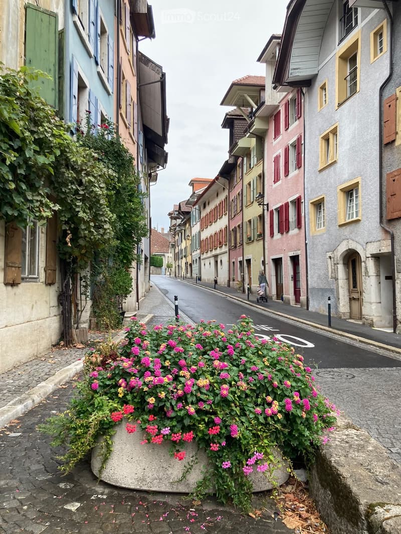 Charmant 4.5 pièces à la Neuveville (1)