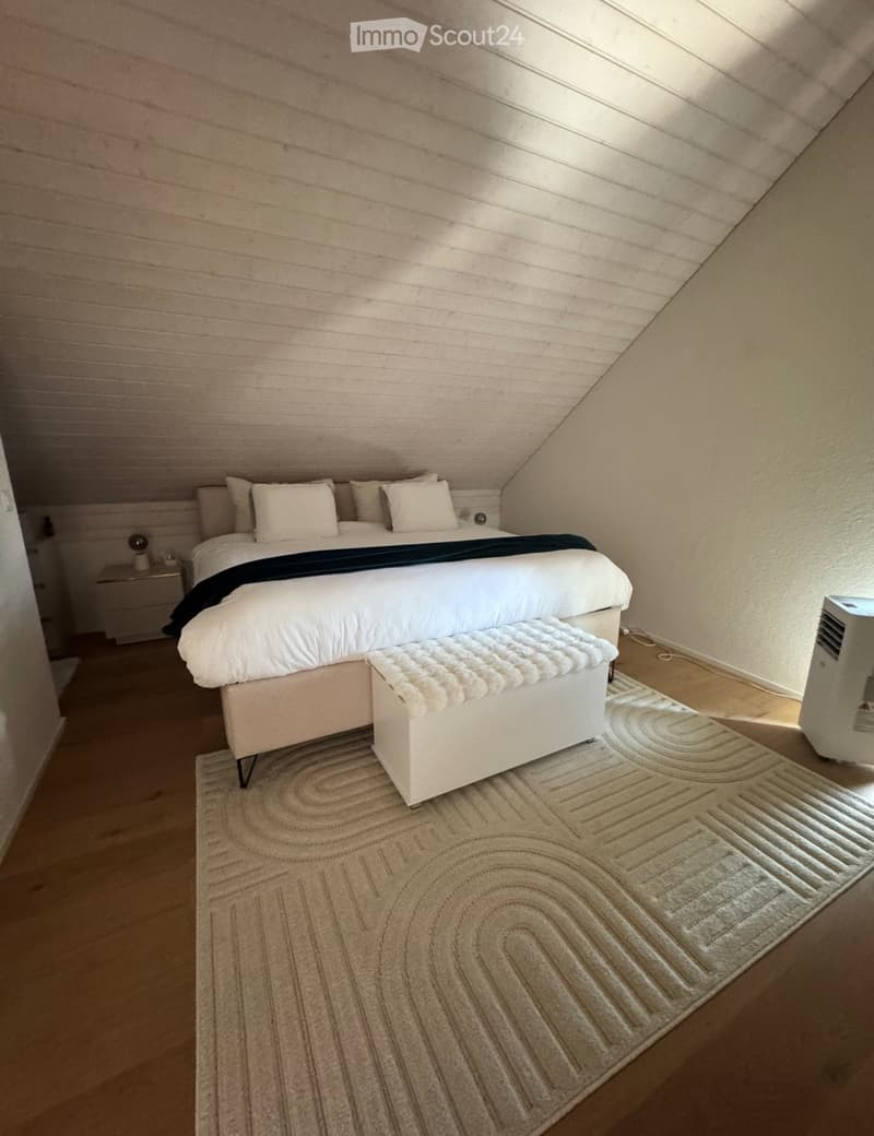 Reprise de bail : Appartement 3.5 pièces (2)