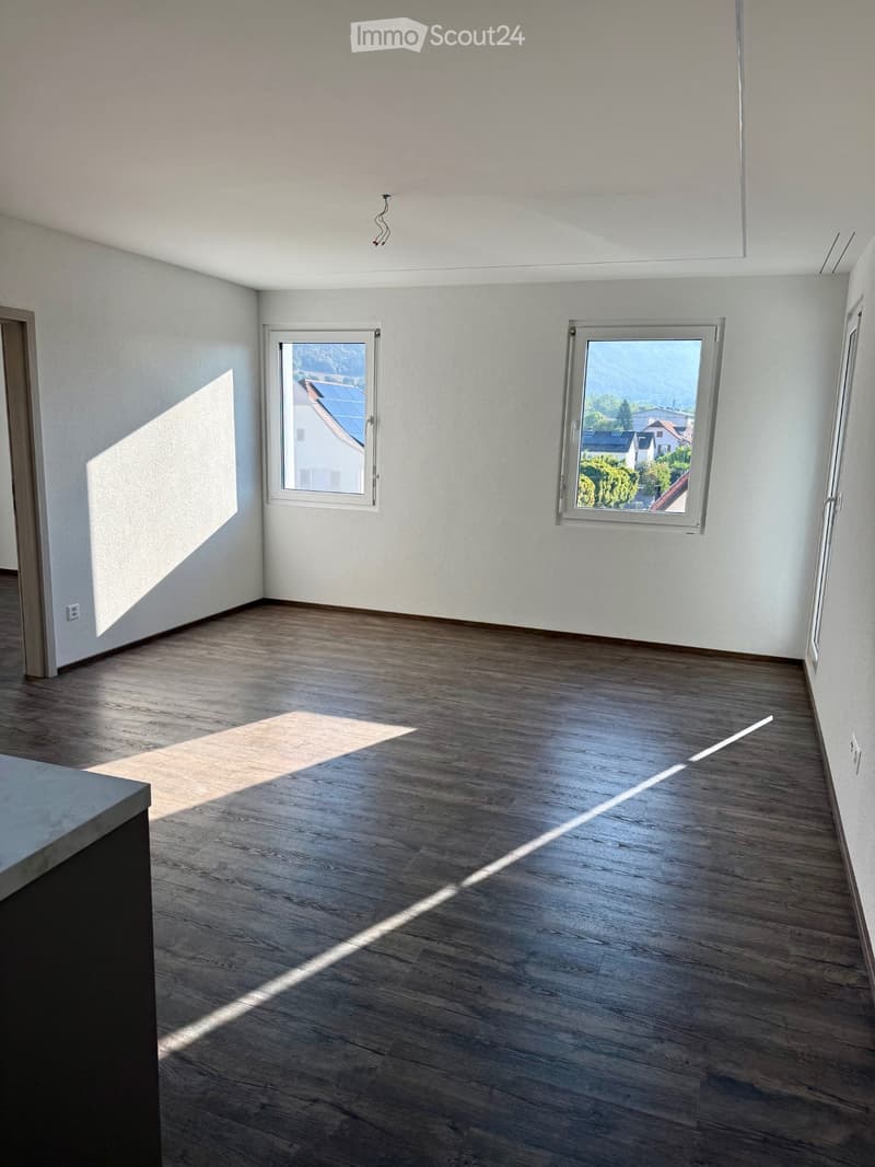 Magnifique appartement neuf, lumineux et fonctionnel (2)