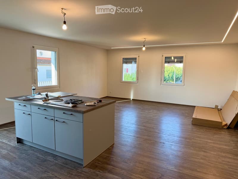 Magnifique appartement neuf, lumineux et fonctionnel (1)