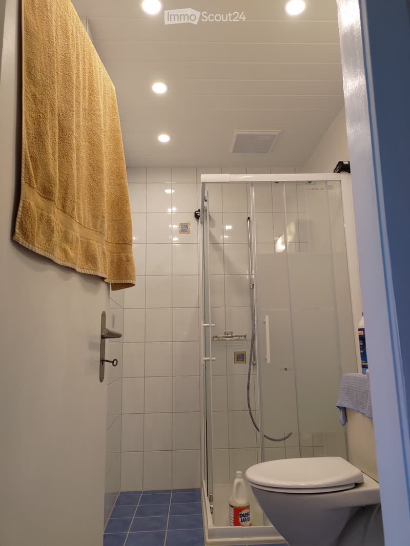 Château de Lully (FR) ! Appartement 2 pièces au rez (5)