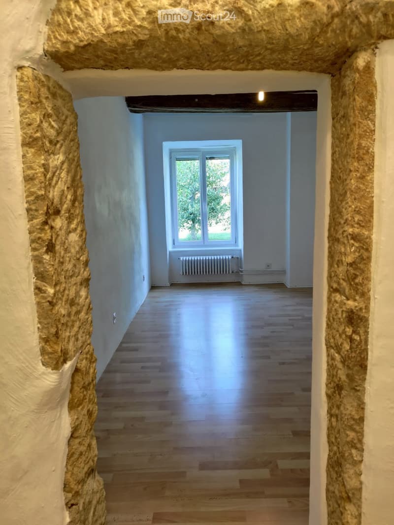Château de Lully (FR) ! Appartement 2 pièces au rez (4)