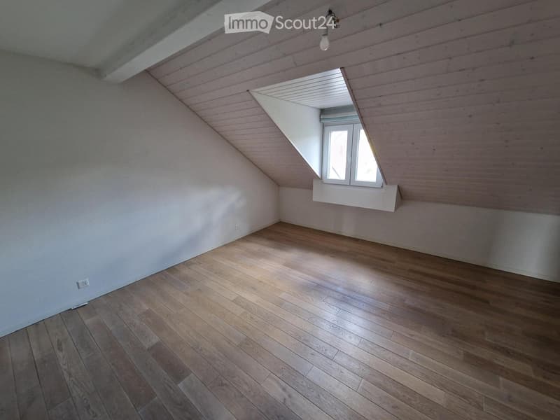 Magnifique Duplex 4.5p + parking (3)