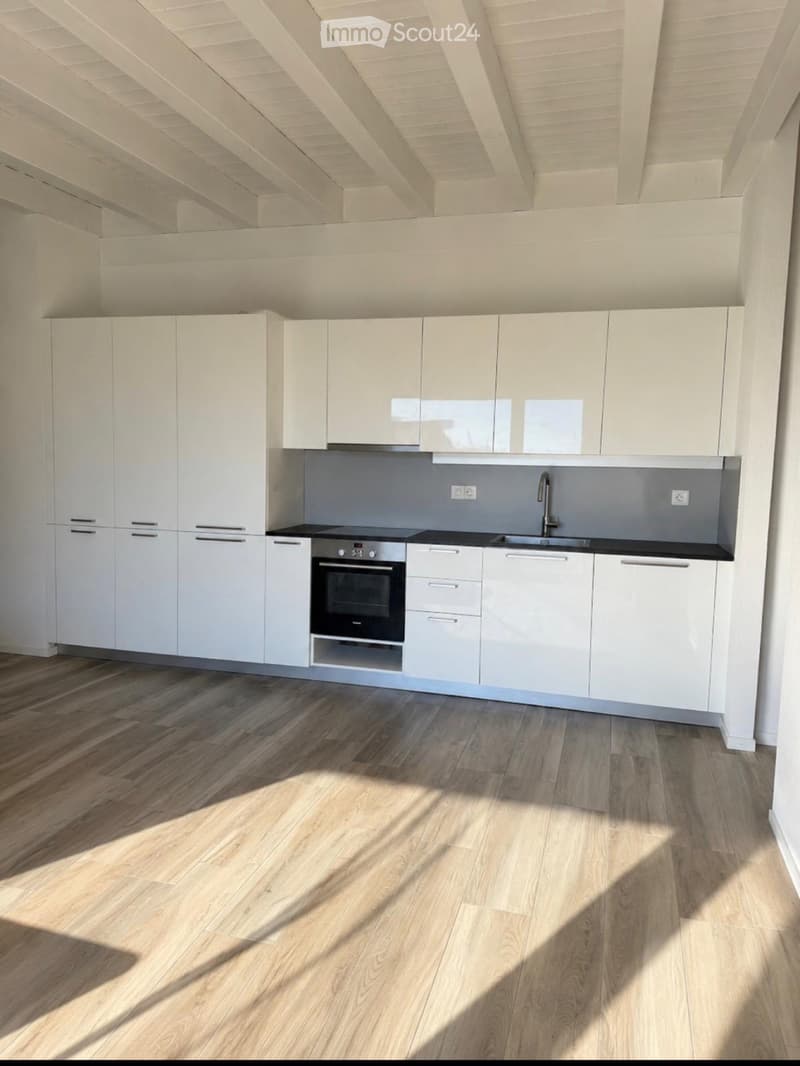 Appartement à louer 3,5 pièces 1500 .- à Saxon (5)