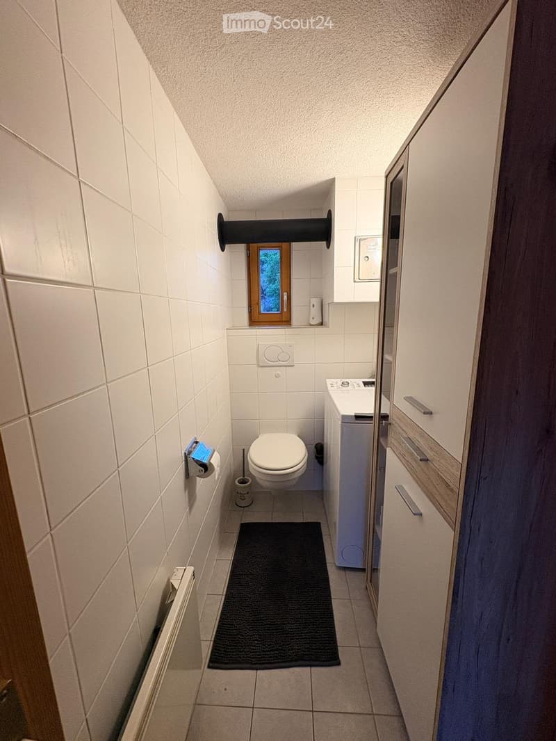 Appartement de 3 1/2 à louer dès le 1er décembre à Vex (5)