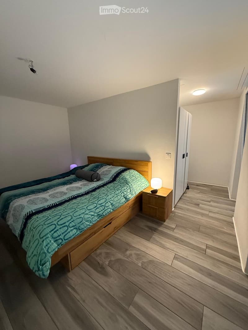 Bel appartement 2,5 pièces (3)