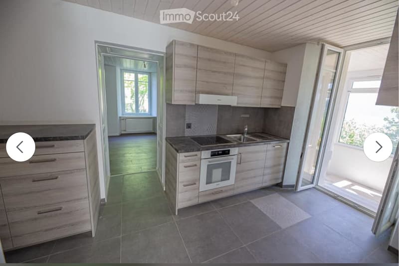3 pièces avec jardin au-dessus du brouillard | 1'450 CHF (4)