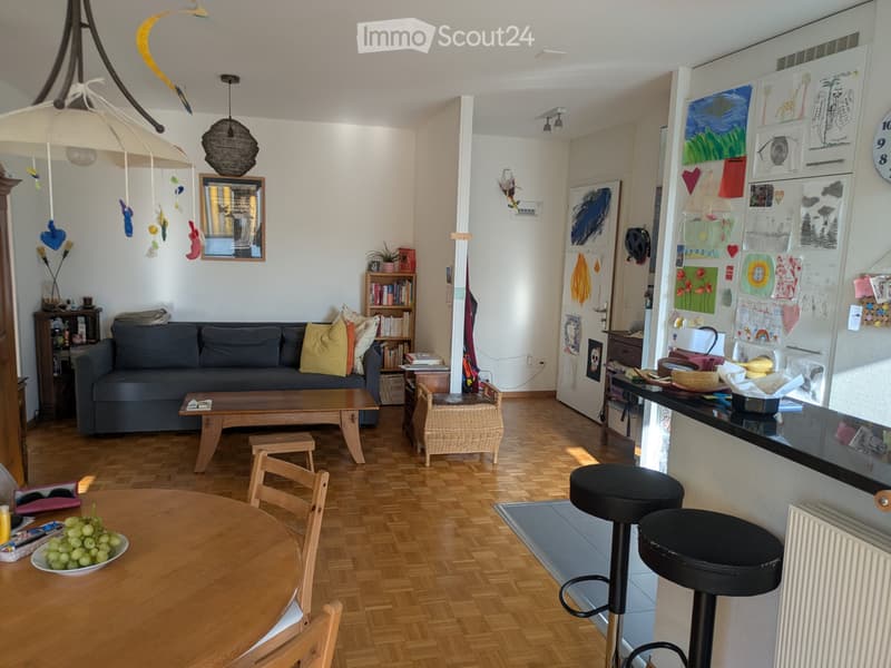 Appartement 4 pces lumineux (2)