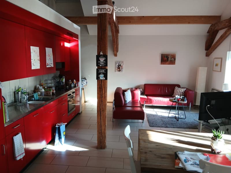 Moderne 2.5 Dachwohnung (4)