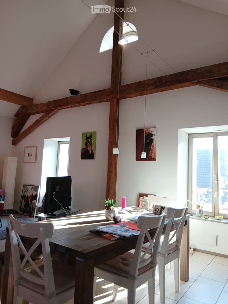 Moderne 2.5 Dachwohnung (1)