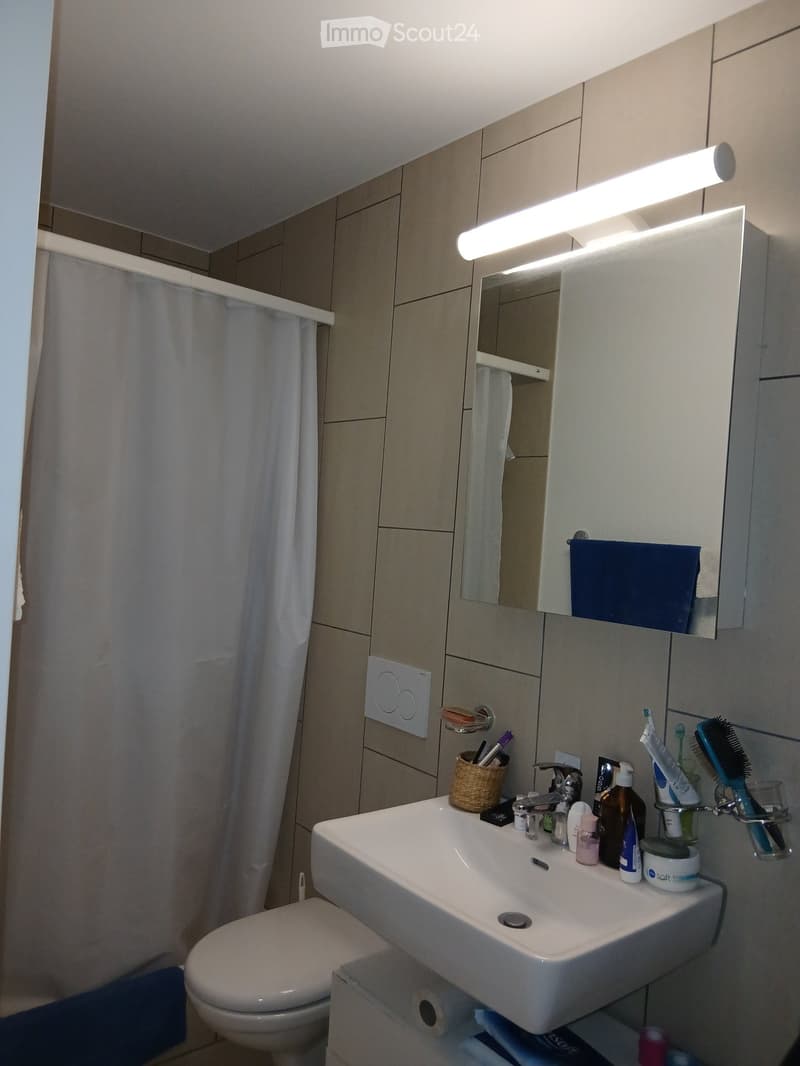 Moderne 2.5 Dachwohnung (2)