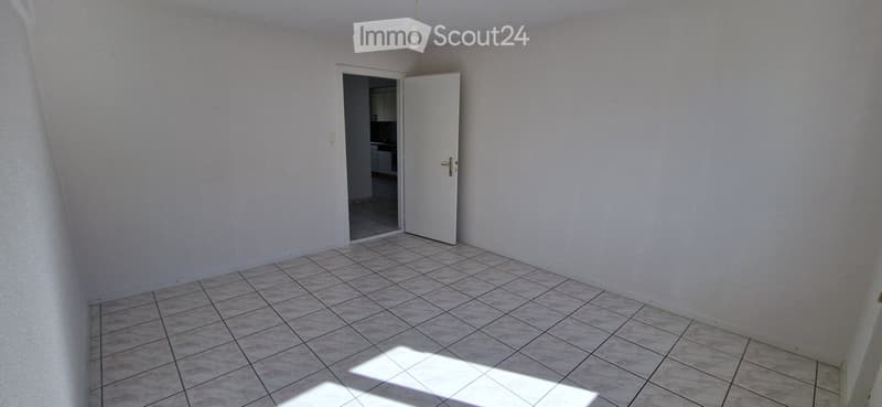 Superbe appartement 3.5 pièces lumineux calme et bien situé (4)