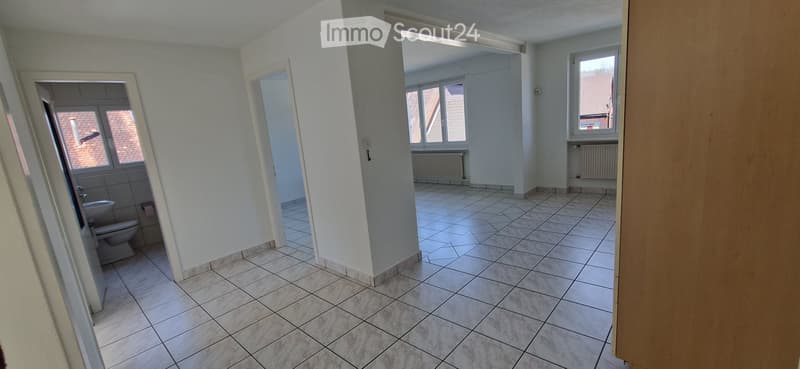Superbe appartement 3.5 pièces lumineux calme et bien situé (3)