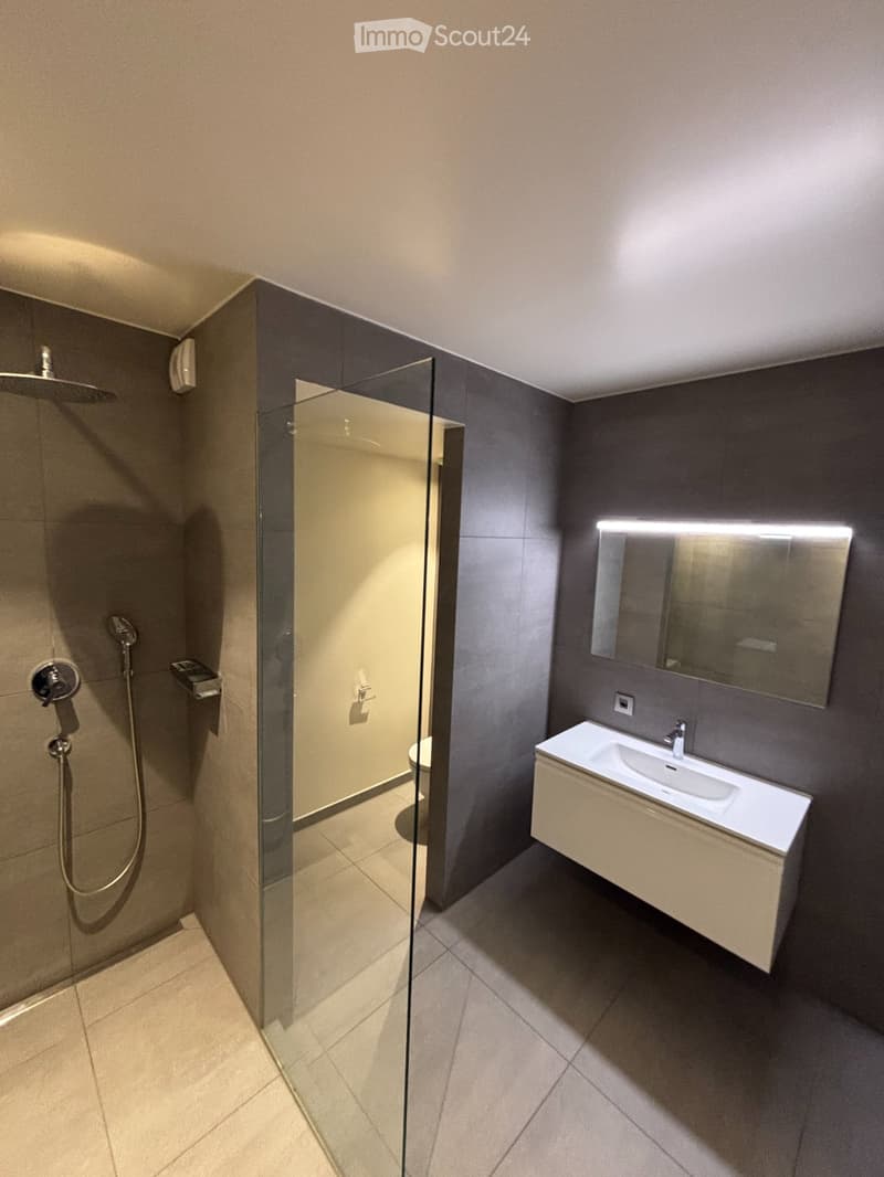 Appartement dexception Eaux-Vives - 167 m² - 4 chambres (4)